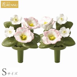 ��֡�S�˥ȥ륳�����祦 1�� (P25-0752) [������ ��RENNU ����Τ���]