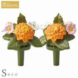 ��֡�S�˥��ꥢ ����� 1�� (P24-0882-OR) [������ ��RENNU ����Τ���]