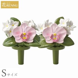 ��֡�S�˸�ĳ�� �ԥ� 1�� (P24-0883-PK) [������ ��RENNU ����Τ���]