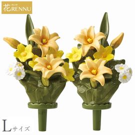 ��֡�L�˥�� �������� 1�� (P24-0884-YE) [������ ��RENNU ����Τ���] ��� ɴ��