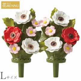 ��֡�L�˥��ͥ�� ��å�&�ۥ磻�� 1�� (P24-0885-RW) [������ ��RENNU ����Τ���]