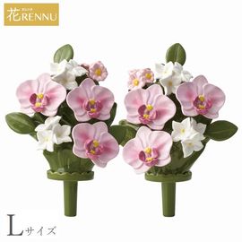 ��֡�L�˸�ĳ�� �ԥ� 1�� (P24-0886-PK) [������ ��RENNU ����Τ���]