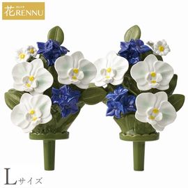 ��֡�L�˸�ĳ�� �ۥ磻�� 1�� (P24-0886-WH) [������ ��RENNU ����Τ���]