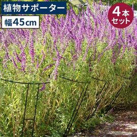 ���� ��� Ⱦ�� ������������ʪ���ݡ�������45 [4�ܥ��å�] (IF-N0047-4P) ���̳�ƻ�����졦Υ�������Բ�