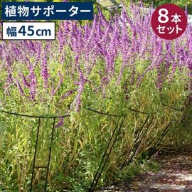 ���� ��� Ⱦ�� ������������ʪ���ݡ�������45 [8�ܥ��å�] (IF-N0047-8P)  ���̳�ƻ�����졦Υ�������Բ�