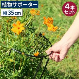 ���� ��� Ⱦ�� ������������ʪ���ݡ�������35 [4�ܥ��å�] (IF-N0048-4P) ���̳�ƻ�����졦Υ�������Բ�