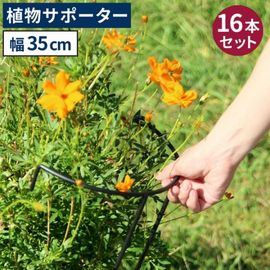 ���� ��� Ⱦ�� ������������ʪ���ݡ�������35 [16�ܥ��å�] (IF-N0048-16P)  ���̳�ƻ�����졦Υ�������Բ�