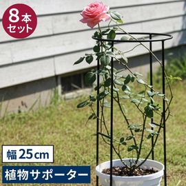 ���� ��� Ⱦ�� ������������ʪ���ݡ�������25 [8�ܥ��å�] (IF-N0049-8P) ���̳�ƻ�����졦Υ�������Բ�