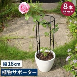 ���� ��� Ⱦ�� ������������ʪ���ݡ�������18 [8�ܥ��å�] (IF-N0050-8P) ���̳�ƻ�����졦Υ�������Բ�