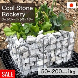 ���� �䷪�� ŷ���� ���ܻ� �����륹�ȡ��󡦾����å��꡼ 50��200mm (1��4kg/��) �������kg������β��ʤǤ� ����-�ٲ���������