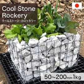 ���� �䷪�� ŷ���� ���ܻ� �����륹�ȡ��󡦾����å��꡼ 50��200mm (1��4kg/��) �������kg������β��ʤǤ� ����-�ٲ���������