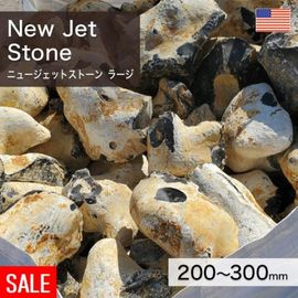 ���� ���� �����ꥹ�� �˥塼�����åȥ��ȡ��� �顼�� 200��300mm (5��15kg) �������kg������β��ʤǤ� ����-�ٲ���������