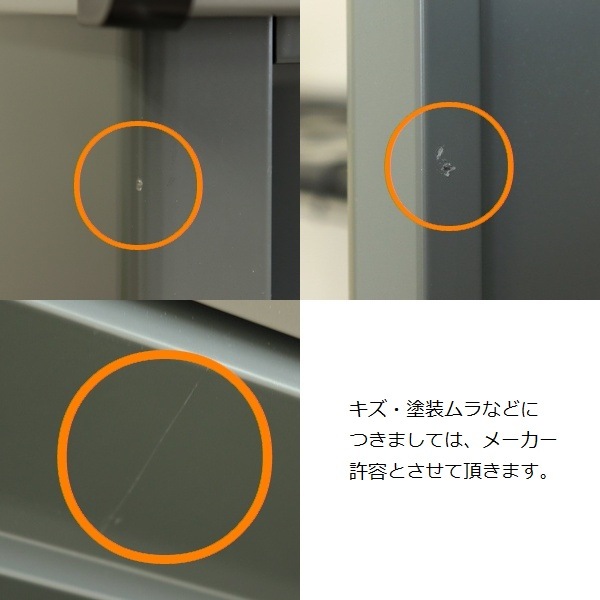 ʪ  顼 (졼ȥ졼/ѡ륰졼) SED-006 ̳ƻ+4850
