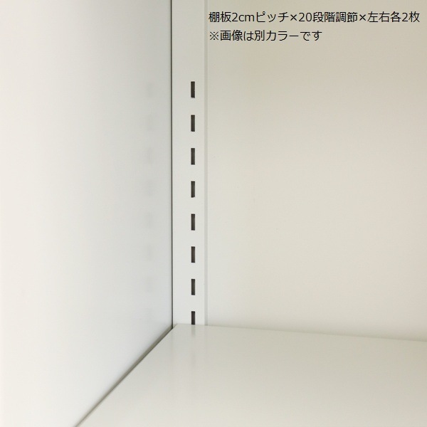 ʪ  顼 (졼ȥ졼/ѡ륰졼) SED-006 ̳ƻ+4850