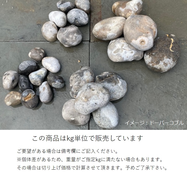 庭石 栗石 玉石 フランス産 天然石 ドーバーコブル （40～80mm） SS