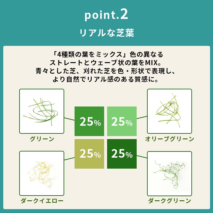 �͹��ǥѡ������� �ץ쥽�� ��Ʃ���� �Ǿ�35mm(������1m��10m) ����ԥ�22�ܤĤ�