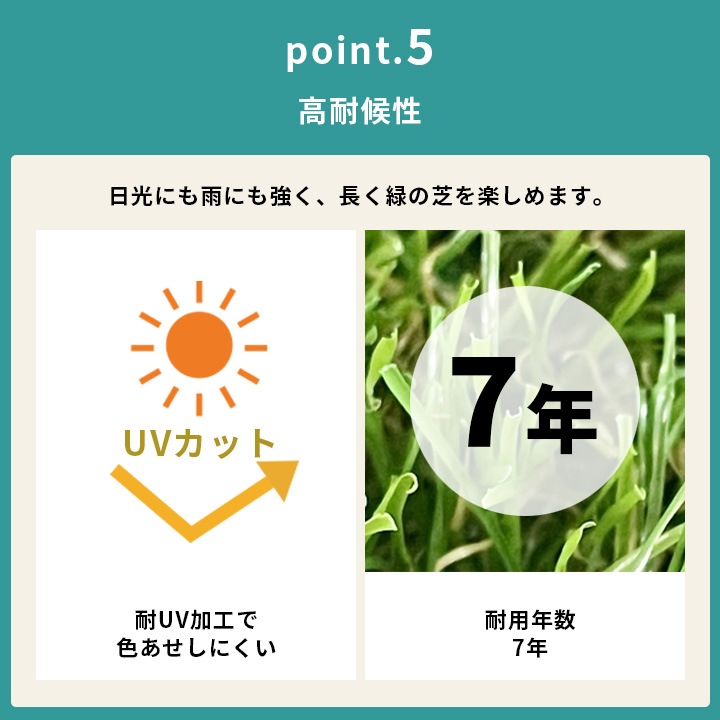 �͹��ǥѡ������� �ץ쥽�� ��Ʃ���� �Ǿ�35mm(������1m��10m) ����ԥ�22�ܤĤ�