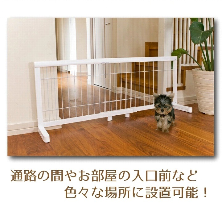 �֤����� �������̥ڥåȥ����� �⤵50cm ��87��156cm �ۥ磻��/�ۥ磻��  (JPG-85��WH/WH��) �����졦Υ�������Բ�