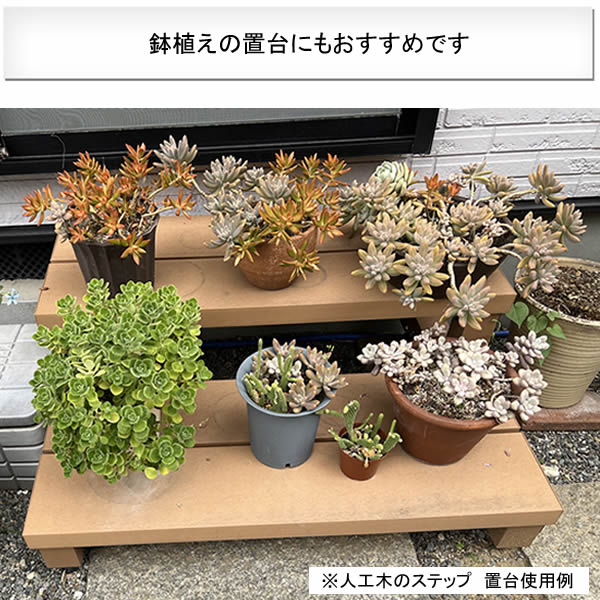 �͹��ڡߥ���� 900��2�ʥ��ƥå� ���ȥ饹  �֥饦��