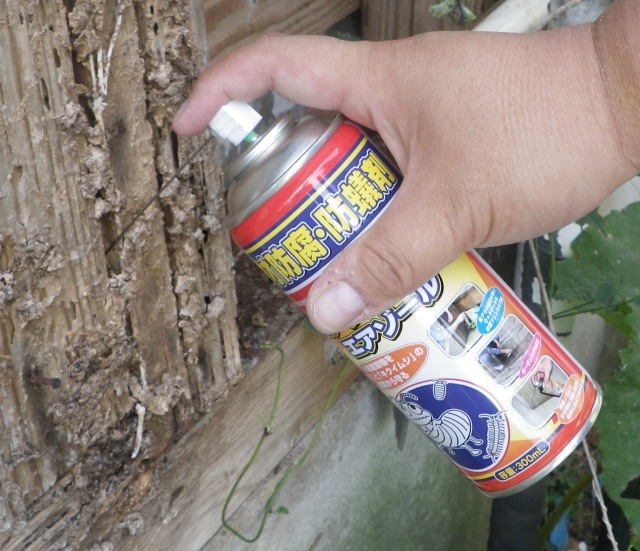 �ɵº� �򥢥ꥹ���ѡ����������� 300ml 12�̥��å� ���ץ졼 �������� �򤢤� ��� �����Ϥ���ˡ�͸���