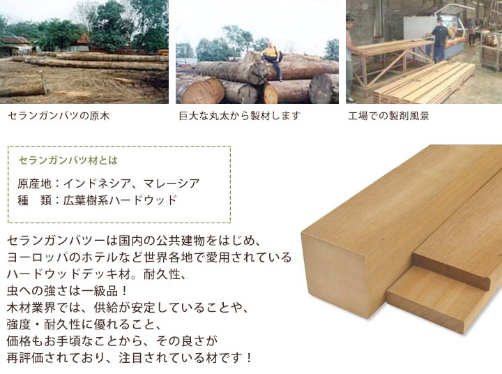 ���ѵס�����󥬥�Х����ǥå��ѥͥ롡��300��300��25mm��1��ñ�ʡ�(1.2kg)