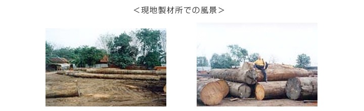 �����ǥ󥨥å���Ϣ���� �⤵200mm������ Ĺ��1800mm (��5kg) ���ѵ� �ϡ��ɥ��å�