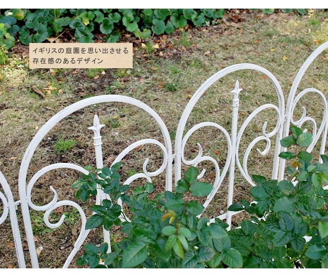 ��������ե��� �ե��˥��� �֥�å� 3���� ���������ե��� �ȥ�ꥹ �� IPN-7029F-3P  ���̳�ƻ��3000��