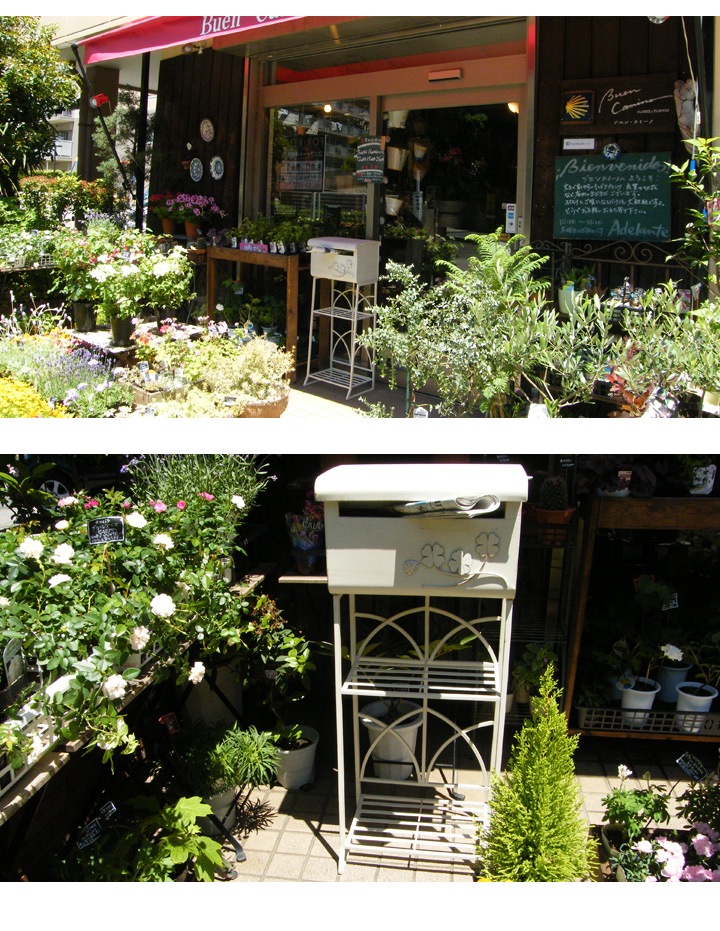 �ݥ��� ������ɥݥ��� ͹�إݥ��� �إե롼�� (����ƥ������ۥ磻��)�� ���ꥸ�ʥ� �᡼��ܥå���