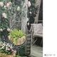 ��������ȥ륽���Х��ե饤 (60052) ���������Ӹ��� ���̳�ƻ�����졦Υ�������Բ�