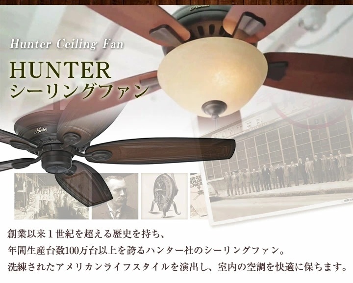 シーリングファン hunter ケニコット マットブラック (59613+22691