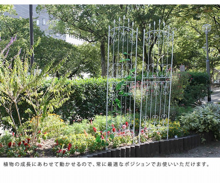 ��������ե��� �������֥饦�� 2���� ��������������ե���220 IFROSE-220-2P ���̳�ƻ��3000��