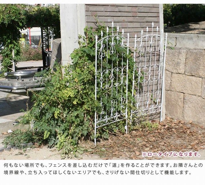 ��������ե��� �������֥饦�� 2���� ��������������ե���220 IFROSE-220-2P ���̳�ƻ��3000��