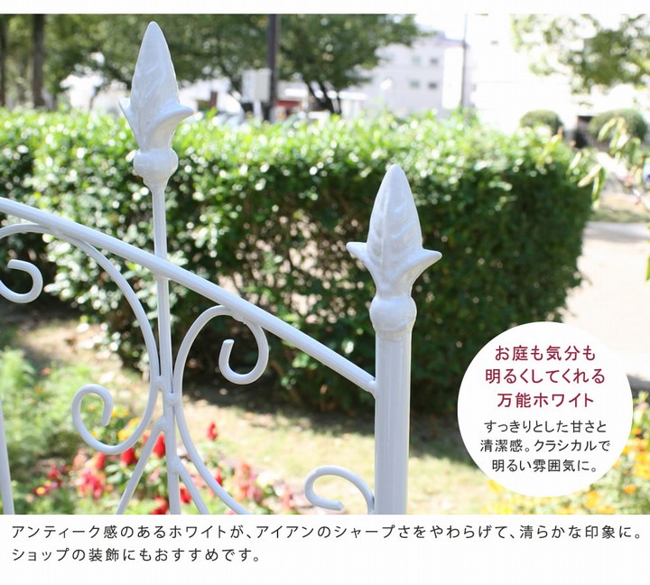 ��������ե��� �������֥饦�� 2���� ��������������ե���220 IFROSE-220-2P ���̳�ƻ��3000��