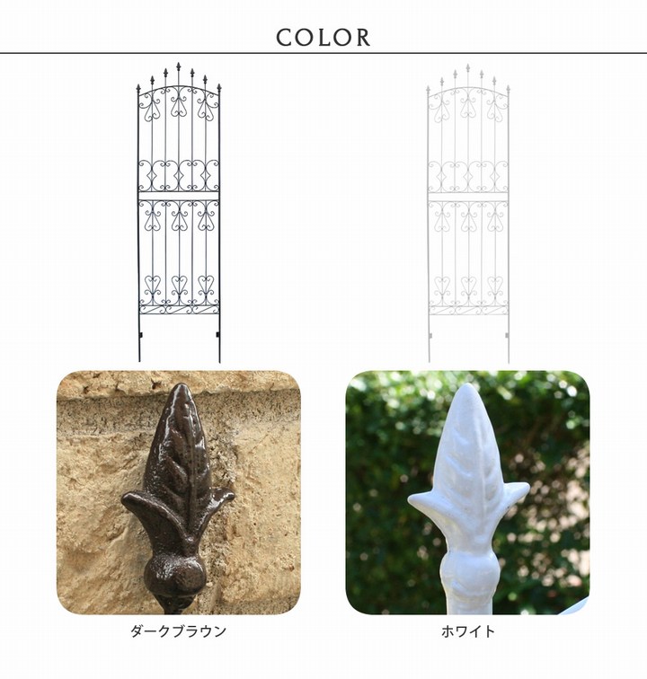 ��������ե��� �������֥饦�� 2���� ��������������ե���220 IFROSE-220-2P ���̳�ƻ��3000��