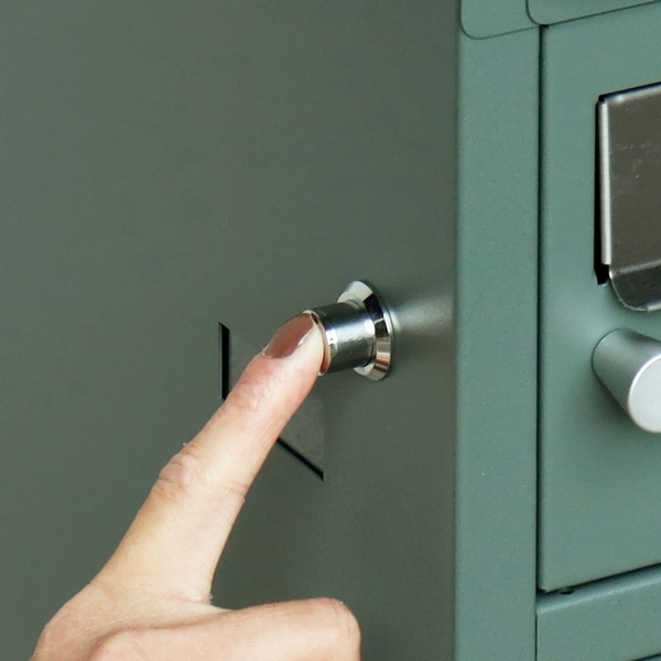 宅配ボックス 郵便ポスト一体型 Zita ジータ (フォレストグリーン) PBX