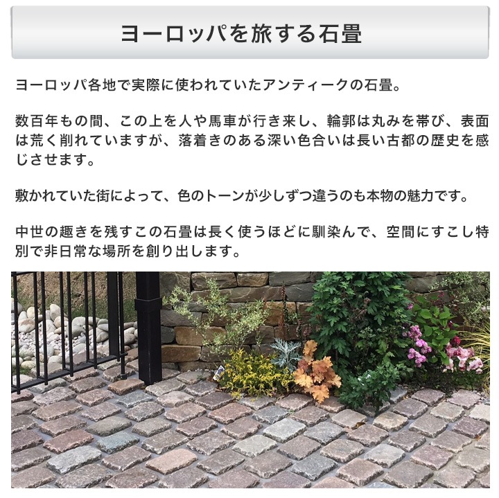 ���� �о� �ڥ��ӥ󥰥��ȡ��� �٥륮���� ����ƥ����� �Υ�ǥ��å����ե�֥��å� ��1ʿ�� (300kg) ����-�ٲ���������