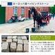 ���� �о� �ڥ��ӥ󥰥��ȡ��� �٥륮���� ����ƥ����� �Υ�ǥ��å����ե�֥��å� ��1ʿ�� (300kg) ����-�ٲ���������