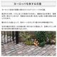 ���� �о� �ڥ��ӥ󥰥��ȡ��� �٥륮���� ����ƥ����� �Υ�ǥ��å����ե�֥��å� ��1ʿ�� (300kg) ����-�ٲ���������
