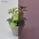 ݥꥫܥ͡ ʿ 5mm ֥饦 12202440mm UVå 糰 ꥹ