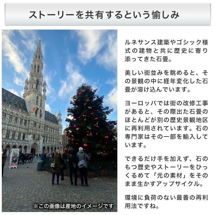 ���� �о� �ڥ��ӥ󥰥��ȡ��� �٥륮���� ����ƥ����� �٥른��󡦥ե�֥��å� ��1ʿ�� (300kg) ����-�ٲ���������