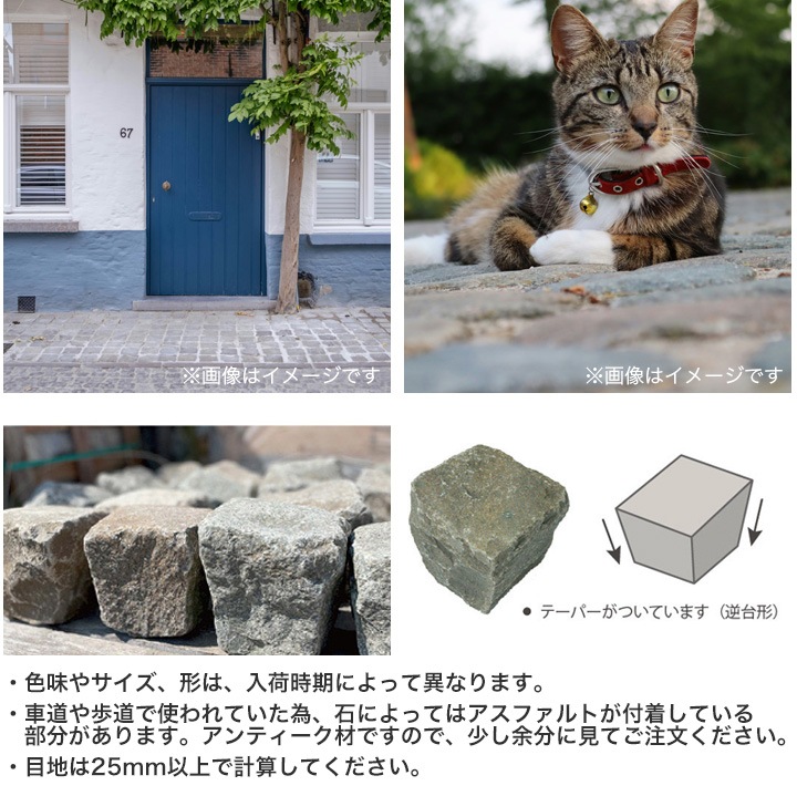 ���� �о� �ڥ��ӥ󥰥��ȡ��� �٥륮���� ����ƥ����� �٥른��󡦥ե�֥��å� ��1ʿ�� (300kg) ����-�ٲ���������