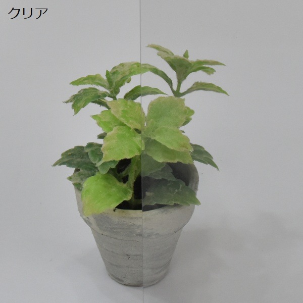 ݥꥫܥ͡ ʿ 5mm ꥢƩ 12202440mm UVå 糰 ꥹ