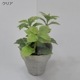 ݥꥫܥ͡ ʿ 5mm ꥢƩ 12202440mm UVå 糰 ꥹ