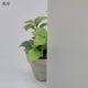 ݥꥫܥ͡ ʿ 5mm Ⱦ 12202440mm UVå 糰 ꥹ