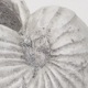 ȭ ६ݥå (3104)  ̳ƻ졦ΥԲ