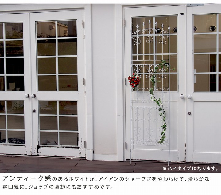 ��������ե��� ���������� 4���� �������֥饦�� ��������������ե���150 RS012L-4P-DBR ���̳�ƻ��3000��