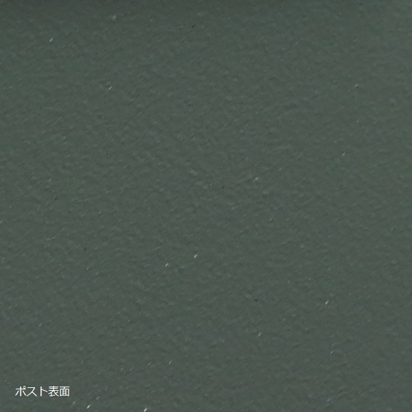 ������ɥݥ��� ������ �ե��쥹�ȥ��꡼�� (SDM-083) ���̳�ƻ+1500��