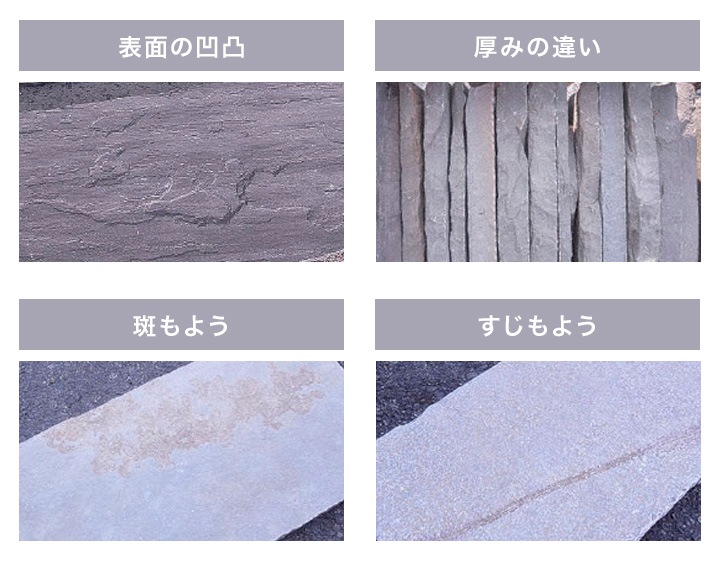  ڥԥ󥰥ȡ ꥫ ŷ ڥ󥷥Х˥ڥӥ 1ñ (45030025) (10kg) -ٲ