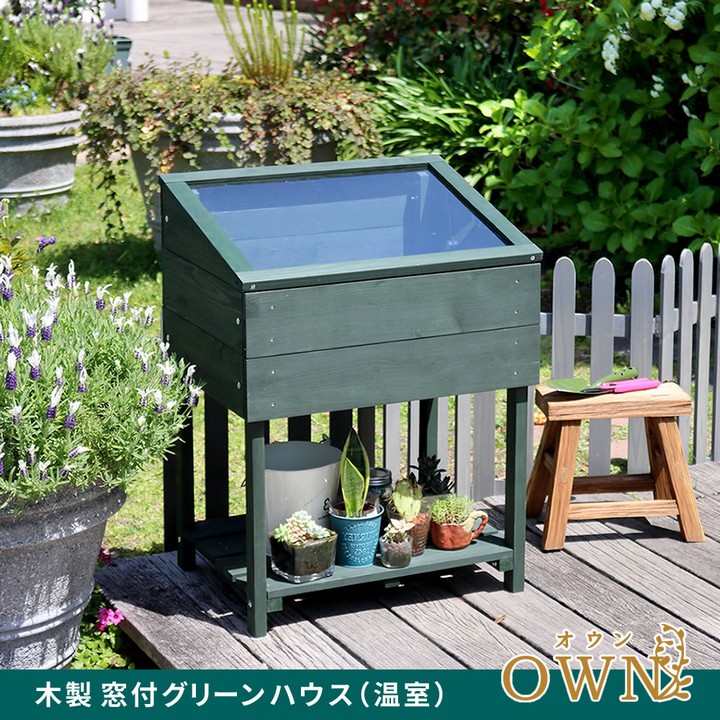 植物用ラック 木製 窓付 ミニグリーンハウス 温室 「OWN」（オウン