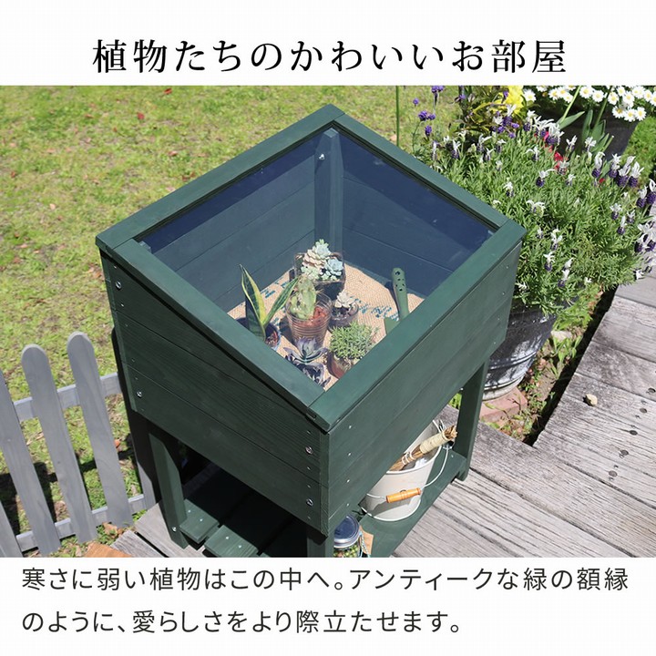 植物用ラック 木製 窓付 ミニグリーンハウス 温室 「OWN」（オウン
